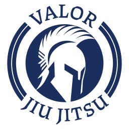 Valor Jiu-Jitsu logo