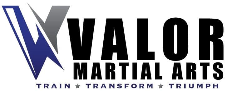 Valor Martial Arts logo