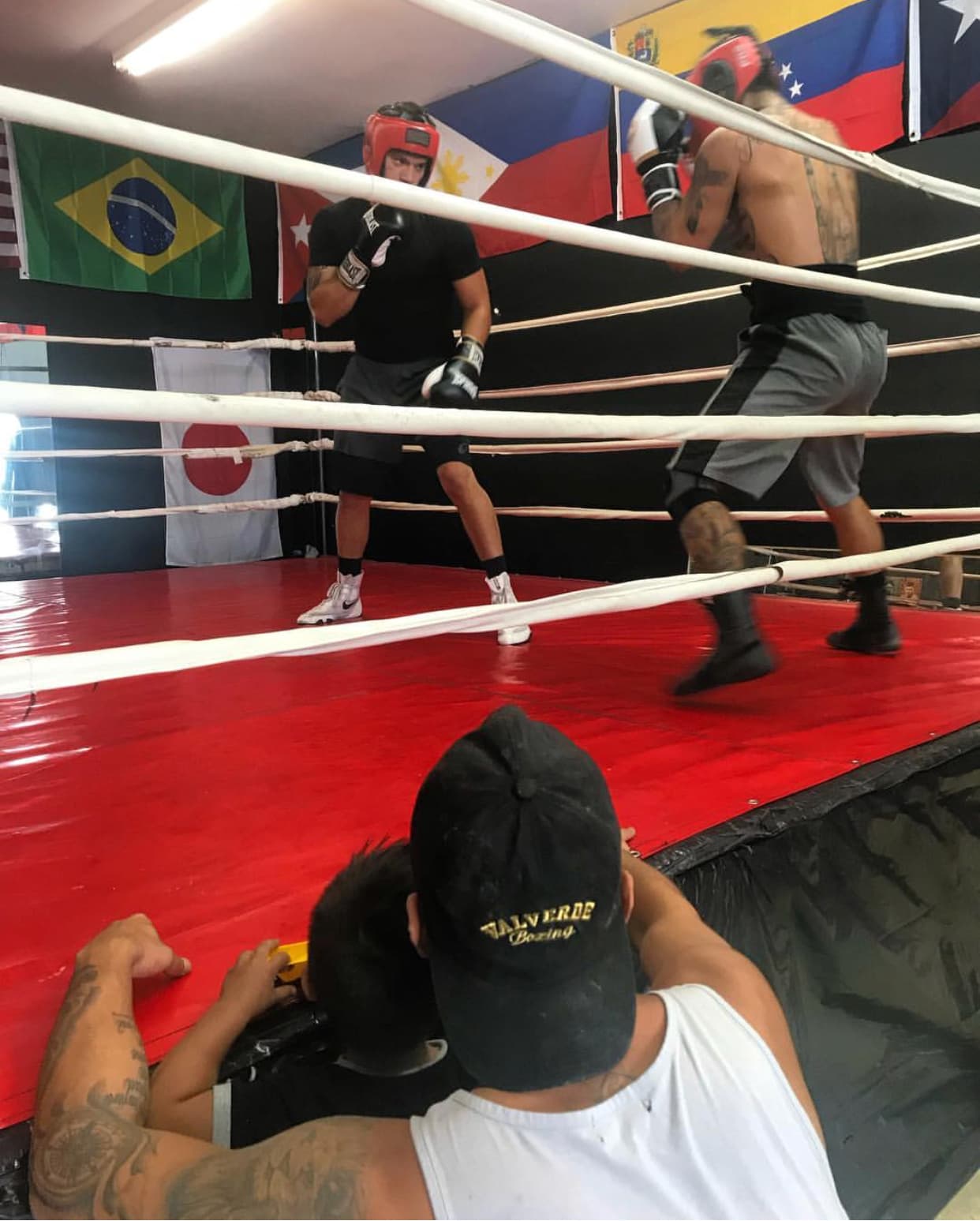 Valverde Boxing Club logo