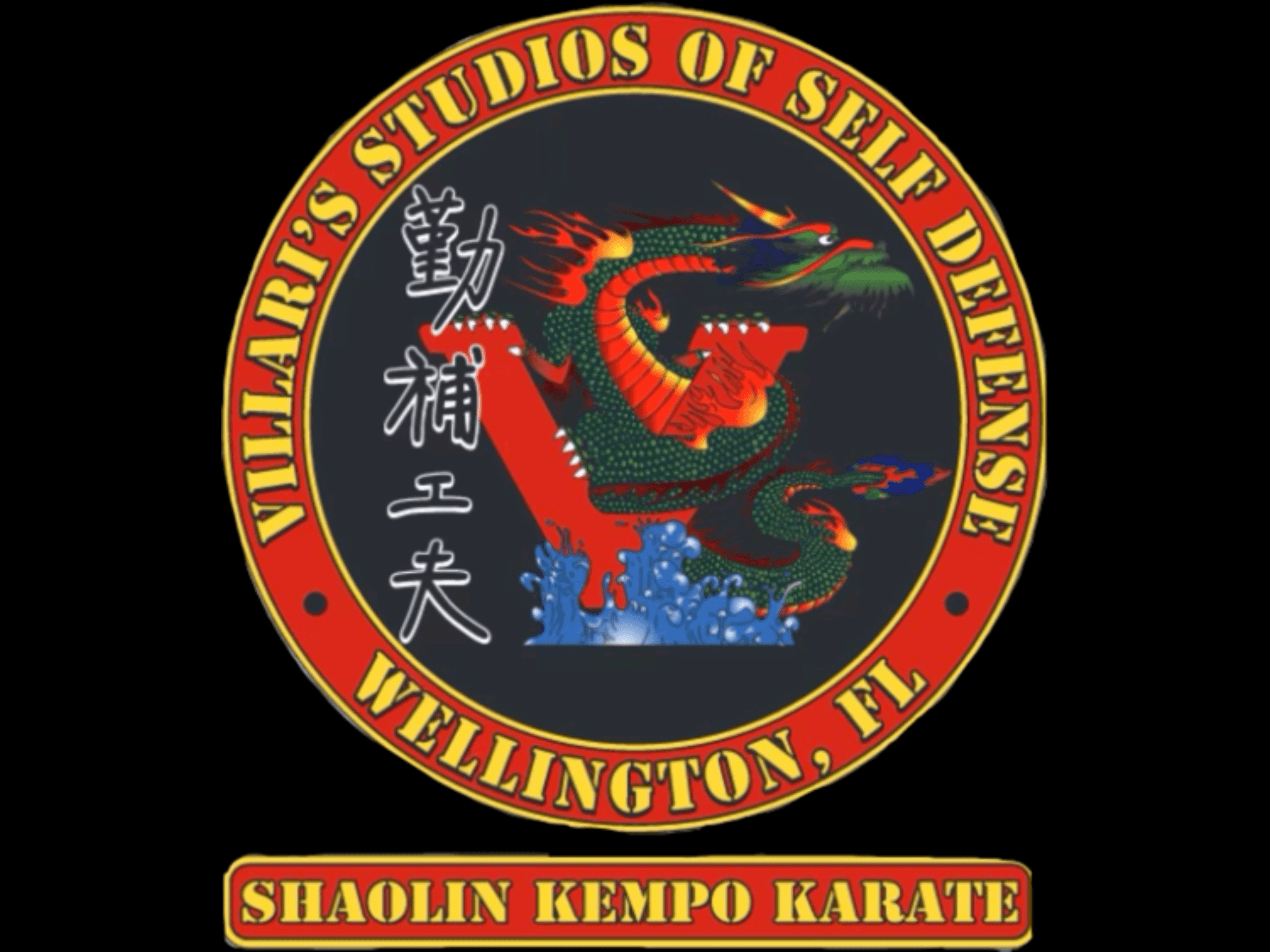 Main image of Villaris Studios of Self Defense