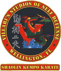 Villaris Studios of Self Defense logo