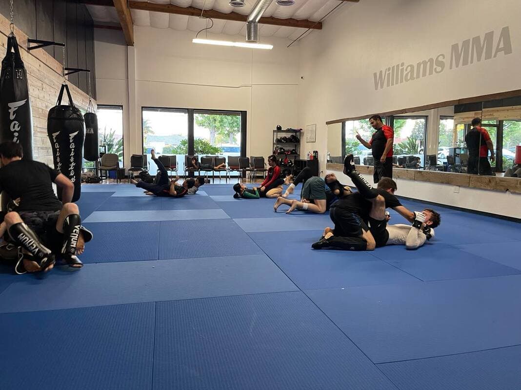 Main image of Williams Academy of MMA