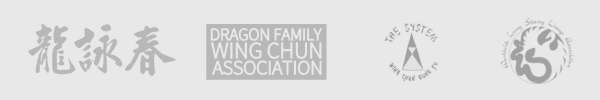 Wing Chun Kung Fu - The Dragon Institute logo