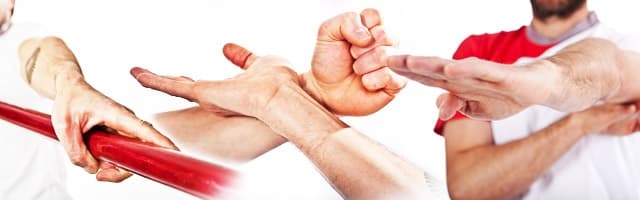 Wing Tsun Navan logo