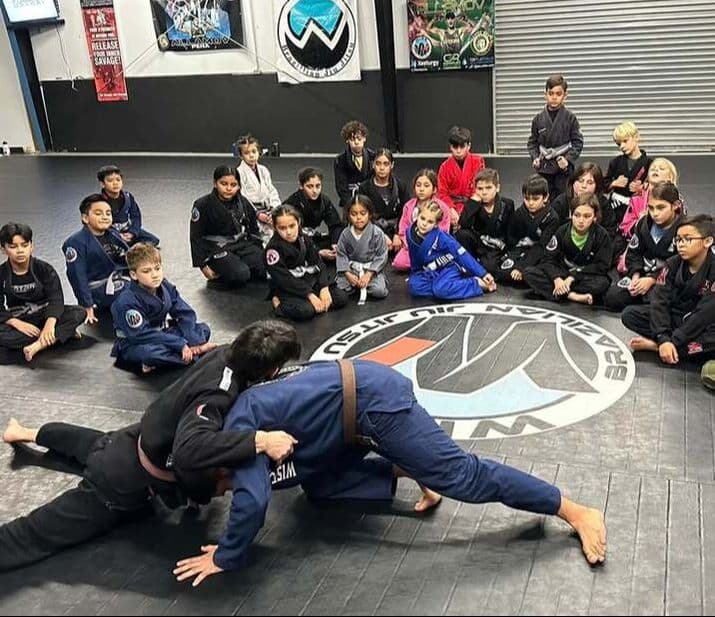 Main image of Wise Jiu Jitsu