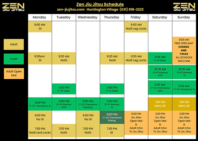 Main image of Zen Jiu Jitsu & Wellness